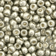 Miyuki seed beads 6/0 Duracoat Galvanized Light Pewter Silver 6-4221