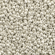 Miyuki seed beads 11/0 Galvanized Silver 11-1051