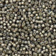 Miyuki seed beads 11/0 Silverlined Alabaster Dyed Rustic Grey 11-650