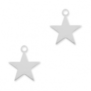 925 Silver charms star Silver