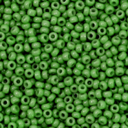 Miyuki seed beads 11/0 Opaque Green 11-411