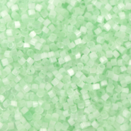 Miyuki beads delica's 11/0 Silk Satin Mint Green DB-828