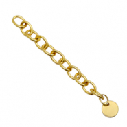Stainless Steel findings extension chain coin 8mm Gold