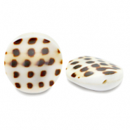 Shell beads 20mm White Brown