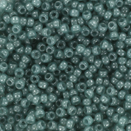 Miyuki seed beads 11/0 Ceylon Translucent Eucalyptus Blue 11-2376