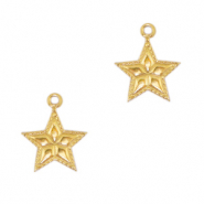 Stainless steel charms star Gold