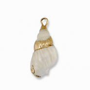 Shell pendants specials Creamy White-Gold