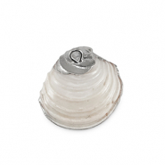 Shell pendants specials Mussel Creamy White-Silver