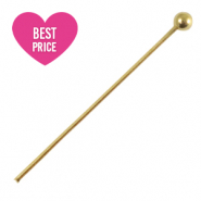 Stainless steel findings headpins 25mm Gold