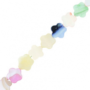 Shell beads flower Multicolour Pastel