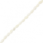 Shell beads oval White