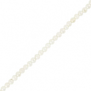 Shell beads round White