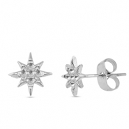 Stainless steel earrings / earpins star Silver