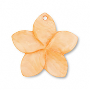 Shell charm flower Orange