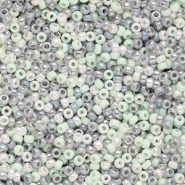 Miyuki seed beads 11/0 Nordic Mist