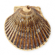 Shell pendants specials scallop Dark Brown-Gold