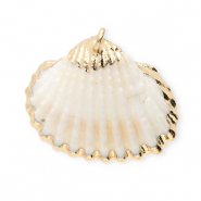 Shell pendants specials scallop White-Gold