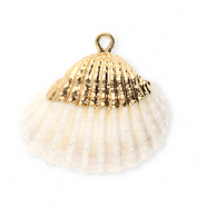 Shell pendants specials cockles Creamy White-Gold