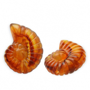 Acrylic beads shell Amber Brown