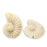 Acrylic beads shell Beige-Brown