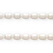 TQ Freshwater pearls rice 10x9mm Natural White