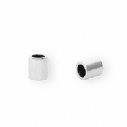 Stainless steel findings end cap &Oslash;2.5mm Silver