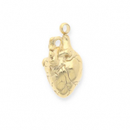 Stainless steel charms anatomical heart Gold