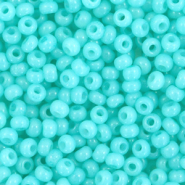 Preciosa Preciosa glass seed beads 8/0