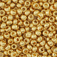 Preciosa Preciosa glass seed beads 24K