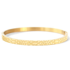 Stainless steel bracelets snake Gold