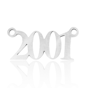 Stainless steel charms / connector year 2001 Silver