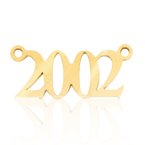 Stainless steel charms / connector year 2002 Gold