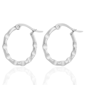 Stainless steel earrings creole Silver