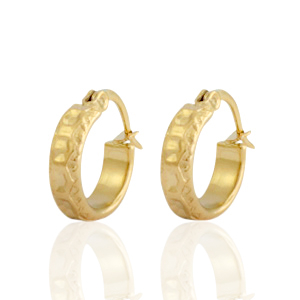 Stainless steel earrings creole Gold