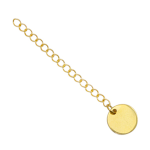 Stainless Steel findings extension chain coin 10mm Gold