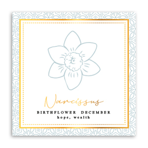 Jewellery cards Birth flower December-Narcissus Greenish Grey