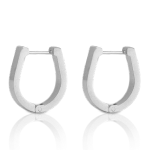 Stainless steel earrings horseshoe Silver