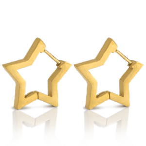 Stainless steel earrings star Gold