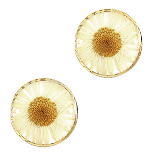 Connectors with dried flowers 20mm Gold-Beige