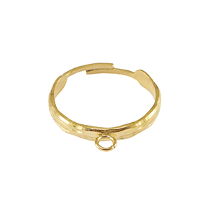 Stainless steel rings with loop Gold