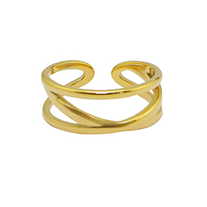 Stainless steel rings Gold