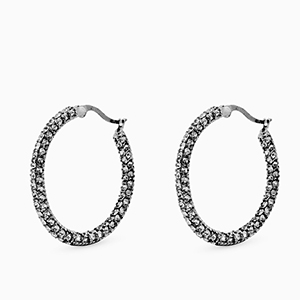 Stainless steel earrings zirconia creole Silver