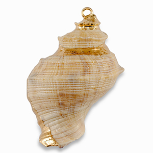 Shell pendants specials Beige-Gold