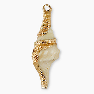 Shell pendants specials Whelks Beige-Gold