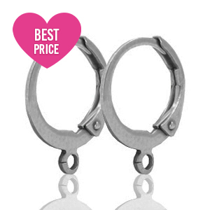Stainless steel findings closable earrings with loop Silver