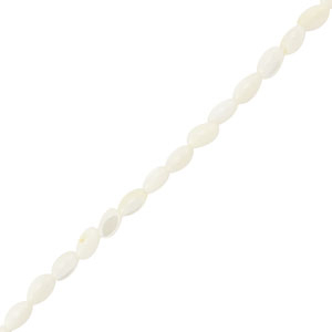 Shell beads oval White