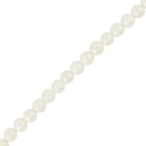 Shell beads round White
