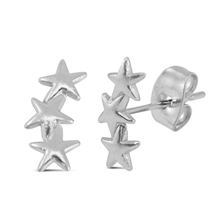 Stainless steel earrings / earpins star Silver