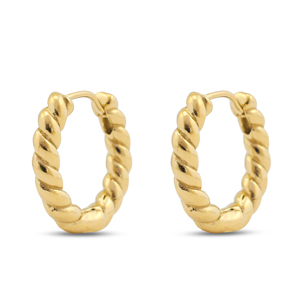 Stainless steel earrings creole Gold