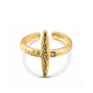 Stainless steel rings Gold